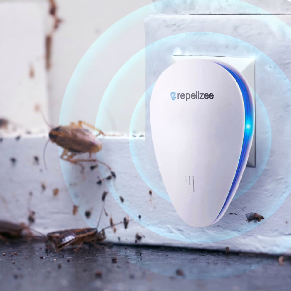 Après RepellZee : intérieur protégé et débarrassé des nuisibles